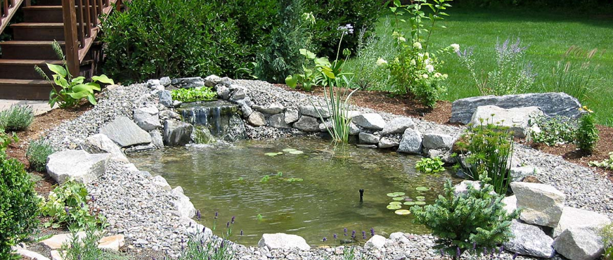 Decorative backyard pond with waterfall, aquatic plants, and landscaped rocks, ideal for professional pond removal services in New Jersey.